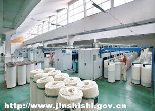 宏力纺织 产业集群驱动，铸就百亿纺织工程新篇章