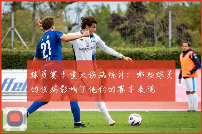 球员赛季重大伤病统计：哪些球员的伤病影响了他们的赛季表现