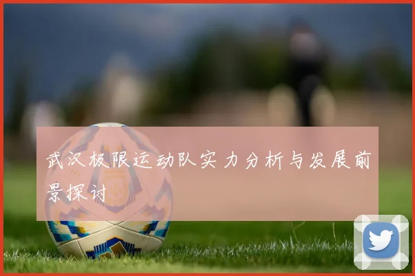 武汉极限运动队实力分析与发展前景探讨
