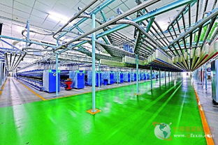 光影织梦 金猫杯摄影大赛记录现代纺织业新颜